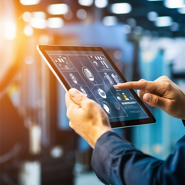 3 Critical Automation and Processing Solutions to Boost Efficiency in Nut Processing Plants